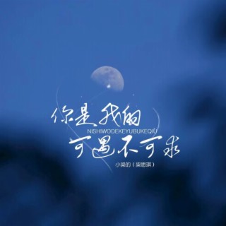 你是我的可遇不可求 lyrics | Boomplay Music