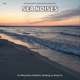 #001 Sea Noises for Relaxation, Bedtime, Reading, to Study To