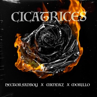 Cicatrices ft. Mxndxz & Morillo lyrics | Boomplay Music