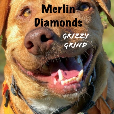 Merlin Diamonds | Boomplay Music