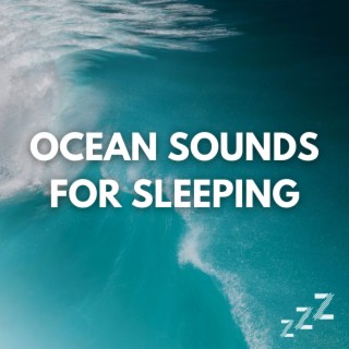 Real Live Ocean Sounds (Loopable, No Fade)
