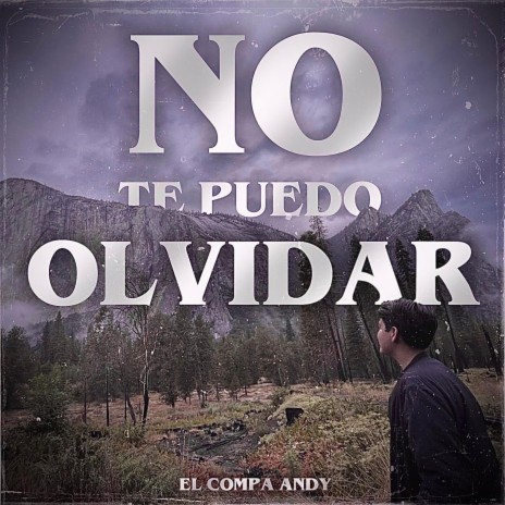 No Te Puedo Olvidar | Boomplay Music