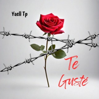 Te Gusté