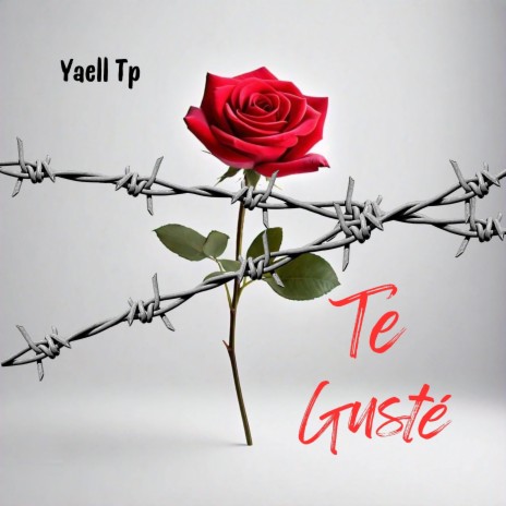 Te Gusté | Boomplay Music