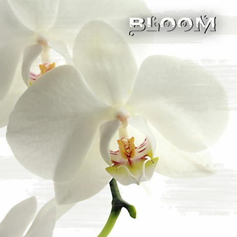 Bloom ft. Love Everlasting | Boomplay Music