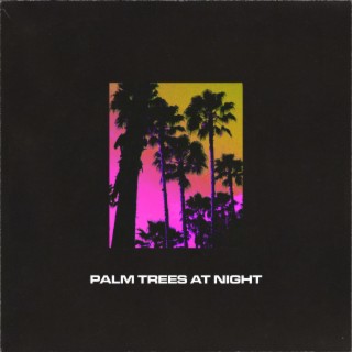 Palm Trees at Night