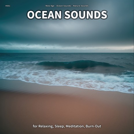 Ocean Sounds, Pt. 40 ft. Ocean Sounds & Nature Sounds