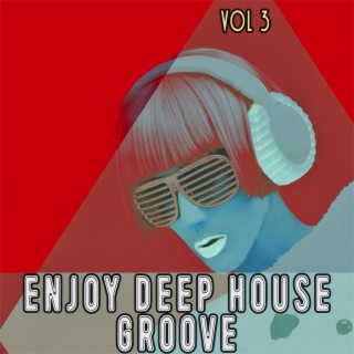 Enjoy Deep House Groove, Vol. 3 - Shiny House and Deep Grooves