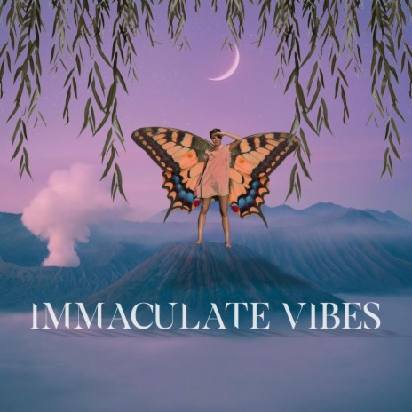 Immaculate Vibes | Boomplay Music
