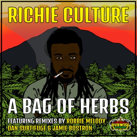 Bag of Herb (Jamie Bostron Remix)