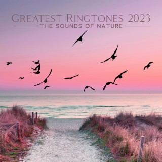 Greatest Ringtones 2023 - The Sounds Of Nature (Waterfall, Rainforest, Stream Flow, Birds, Waves, Wind)