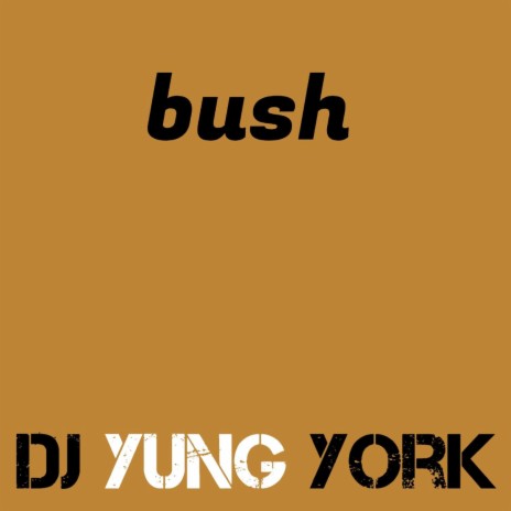 bush | Boomplay Music