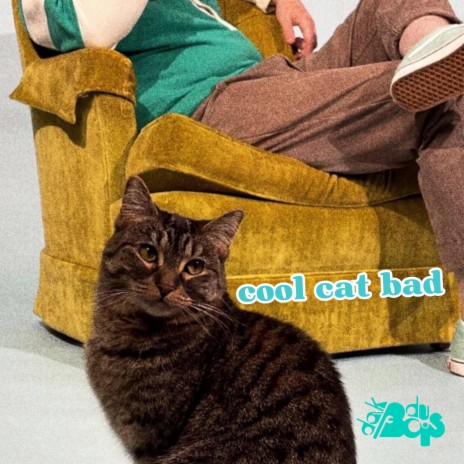 cool cat bad | Boomplay Music