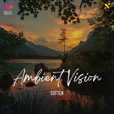 Ambient Vision | Boomplay Music