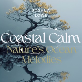 Coastal Calm: Nature’s Ocean Melodies