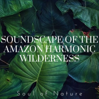 Soundscape of the Amazon: Harmonic Wilderness