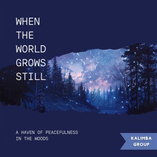 When the World Grows Still: a Haven of Peacefulness in the Woods