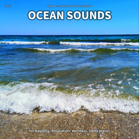 Ocean Sounds, Pt. 60 ft. Ocean Sounds & Nature Sounds