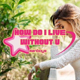 How Do I Live Without You (Live) lyrics | Boomplay Music