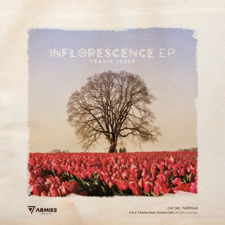 Inflorescence (Original Mix)