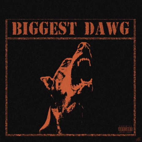 Biggest dawg (dont care freestyle) | Boomplay Music