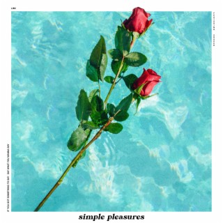 Simple Pleasures ft. Shaker lyrics | Boomplay Music