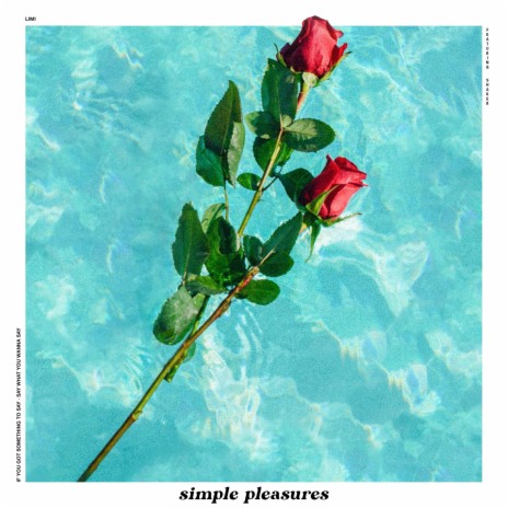 Simple Pleasures ft. Shaker | Boomplay Music
