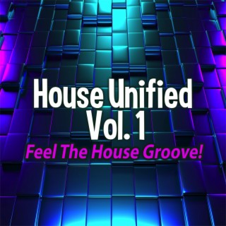 House Unified, Vol.1 - Feel the House Groove!