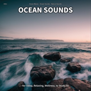 #001 Ocean Sounds for Sleep, Relaxing, Wellness, to Study To