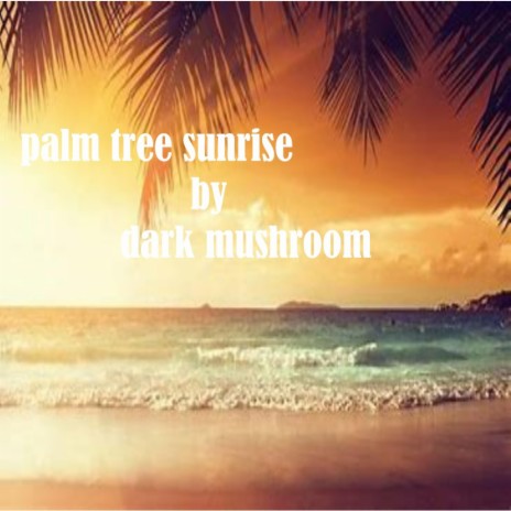 palm tree sunrise