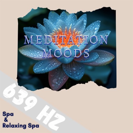 639 Hz Mystical Mountain Bowls ft. Asian Spa Music Meditation & Spa Treatment | Boomplay Music