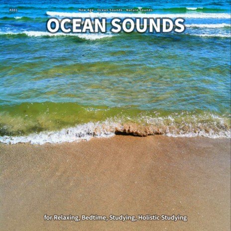 Ocean Sounds, Pt. 16 ft. Ocean Sounds & Nature Sounds