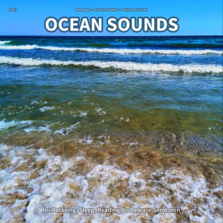 #001 Ocean Sounds for Relaxing, Sleep, Reading, to Release Serotonin