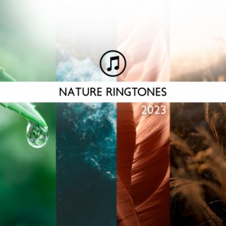 Nature Ringtones 2023: Hang Drum & Ocean Waves & Rain Sounds & Thunderstorm & Forest & Stream & Birds