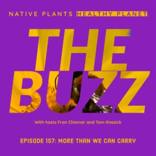 The Buzz - More Than We Can Carry