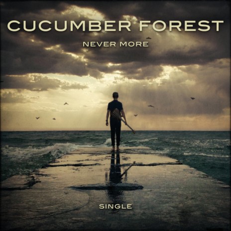 Never More (feat. Dee Wolf) | Boomplay Music