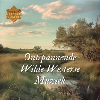 Ontspannende Wilde Westerse Muziek