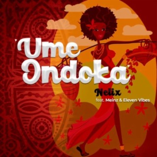 Umeondoka (feat. Meinz & Eleven Vibes)