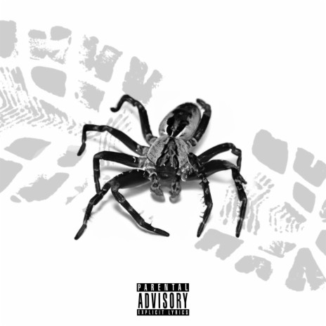 Arachnophobia | Boomplay Music