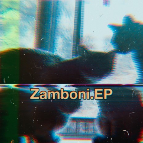 Zamboni (DnB Flip)