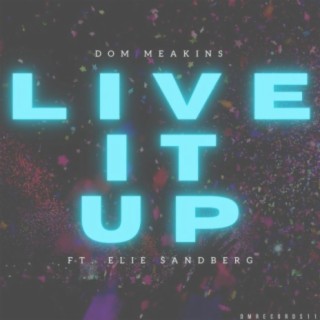 Live It Up (feat. Elie Sandberg)