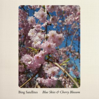 Blue Skies & Cherry Blossom