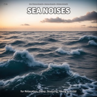 #001 Sea Noises for Relaxation, Sleep, Studying, Young and Old
