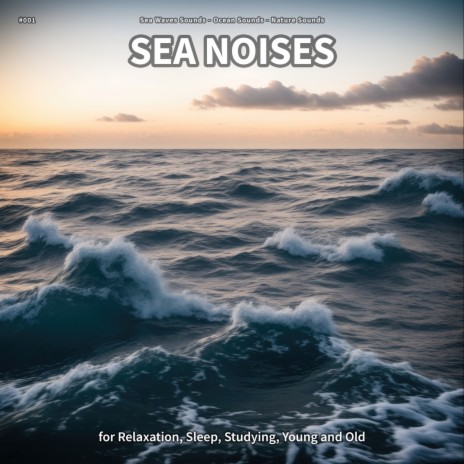Sea Noises, Pt. 99 ft. Ocean Sounds & Nature Sounds