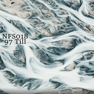 NFS018