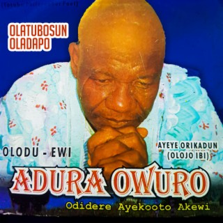 Olatunbosun Oladapo Akewi