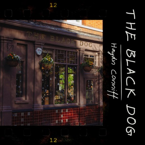 The Black Dog | Boomplay Music