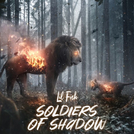 Soldiers of Shadow | Boomplay Music