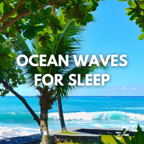 Myrtle Beach Ocean Waves Live Recording (Loop, No Fade) ft. Ocean Waves For Sleep & Nature Sounds For Sleep and Relaxation