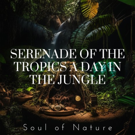 Jungle Whispers at Dawn ft. SON Recordings